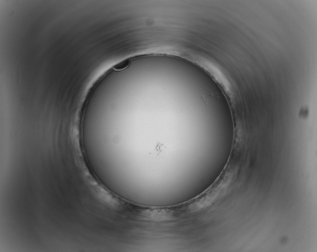 X0000103280952200809051528