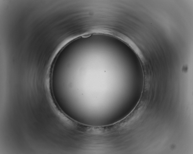 X0000103280955200809051528