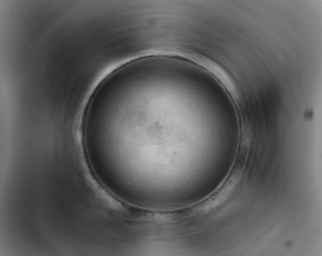 X0000103280958200809051528