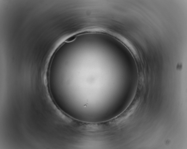 X0000103280959200809051528