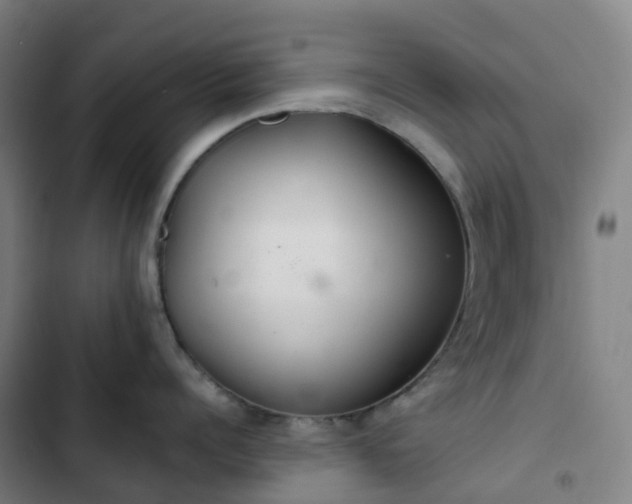 X0000103280960200809051528