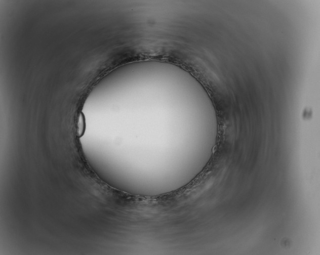 X0000103280961200809051527