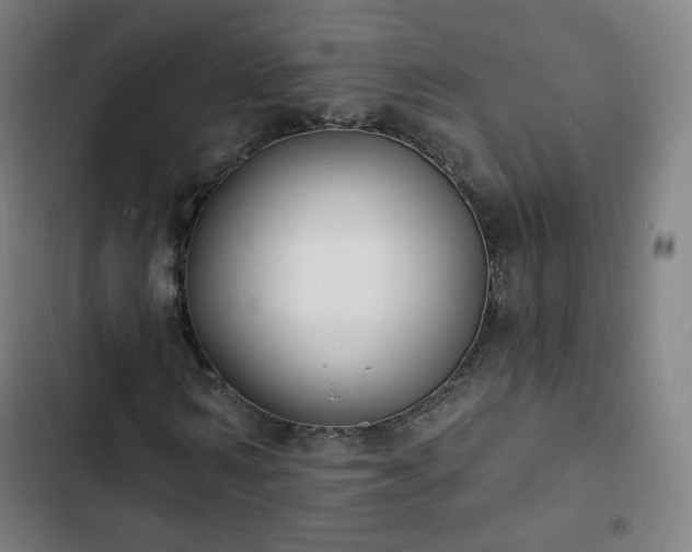 X0000103280962200809051527