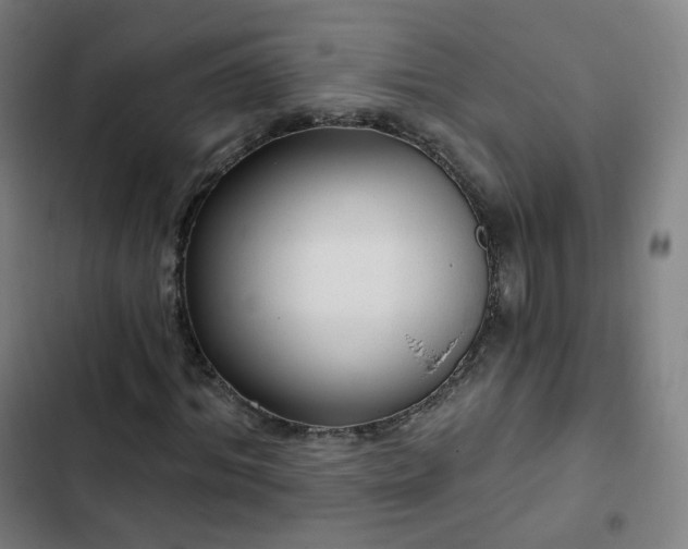 X0000103280964200809051527