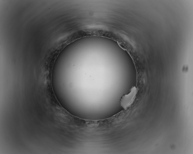 X0000103280965200809051527