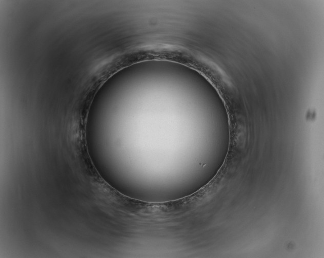 X0000103280966200809051527