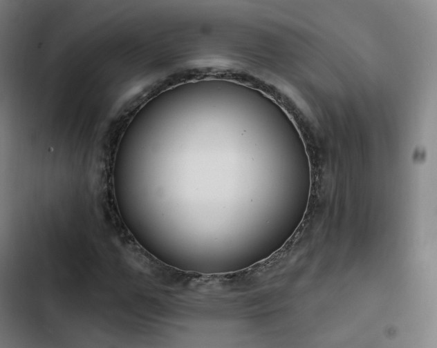 X0000103280967200809051527