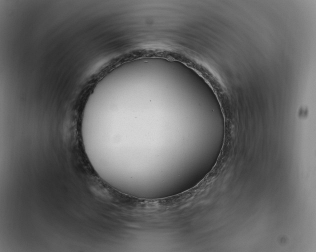 X0000103280968200809051527