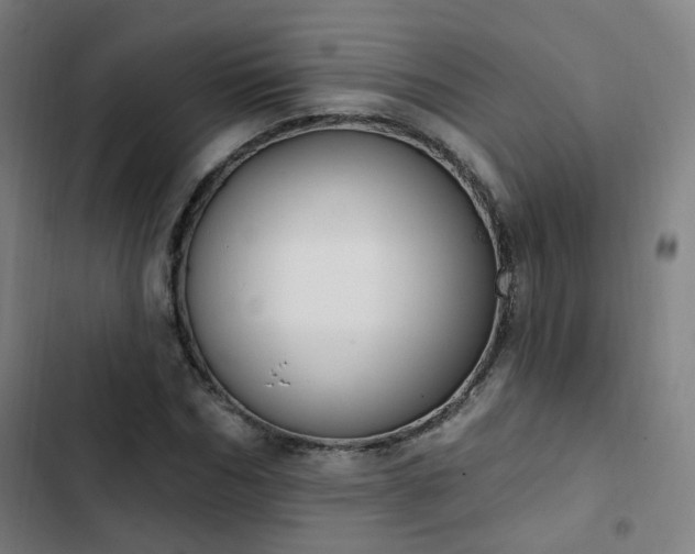 X0000103280970200809051527