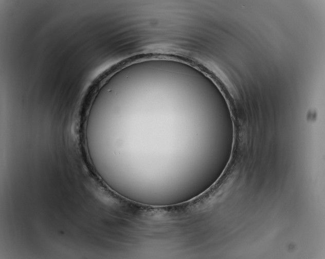 X0000103280971200809051527