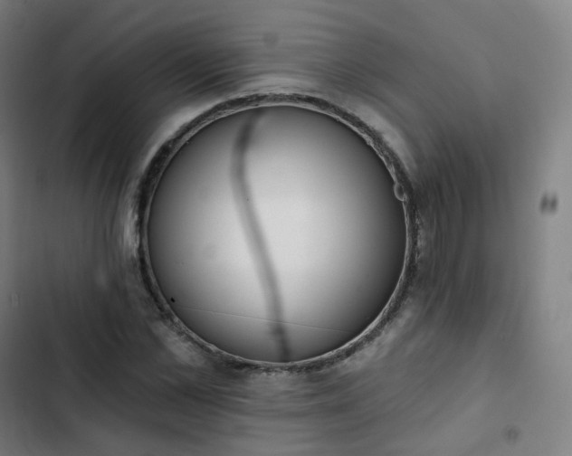 X0000103280973200809051527