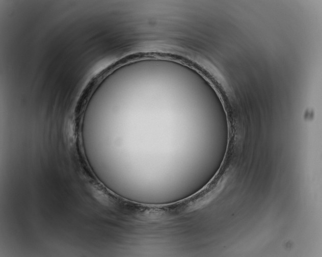 X0000103280974200809051527