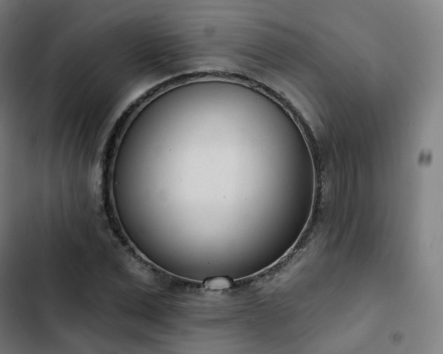 X0000103280975200809051527