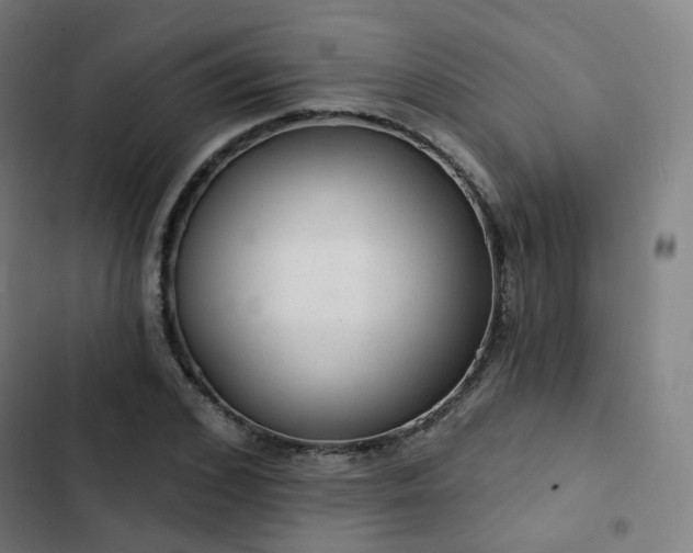 X0000103280976200809051527