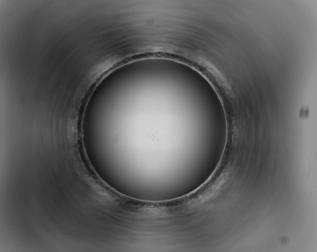 X0000103280977200809051527