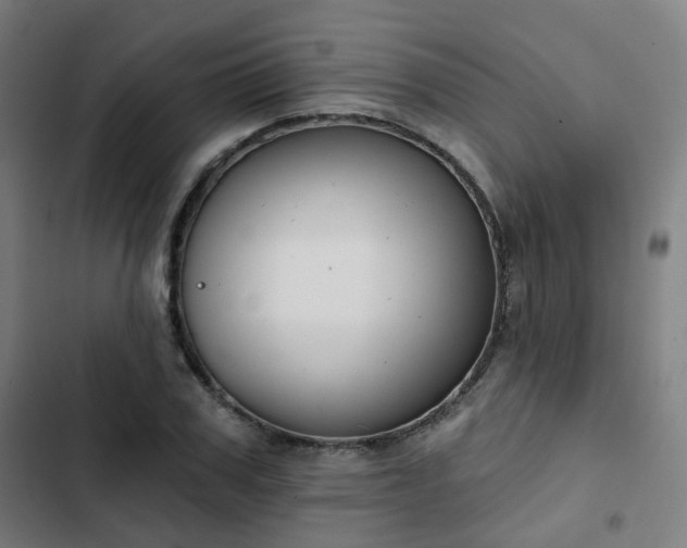 X0000103280979200809051527