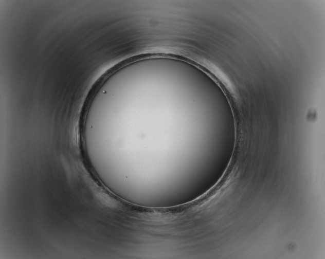 X0000103280980200809051527