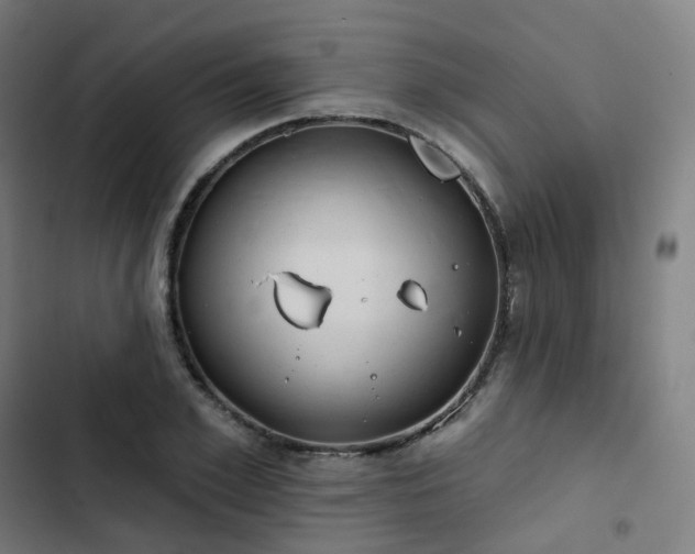 X0000103280981200809051527