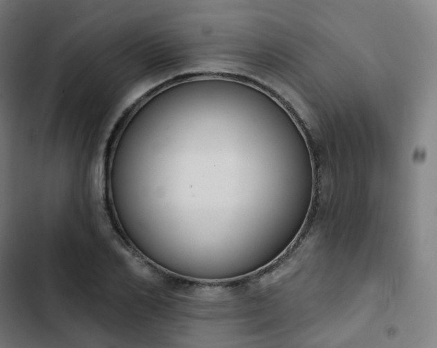 X0000103280982200809051527