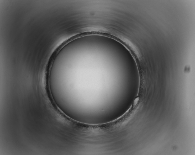 X0000103280983200809051527