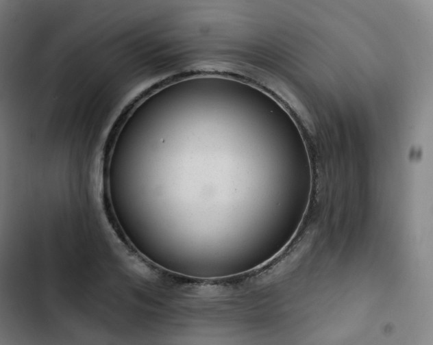 X0000103280984200809051527