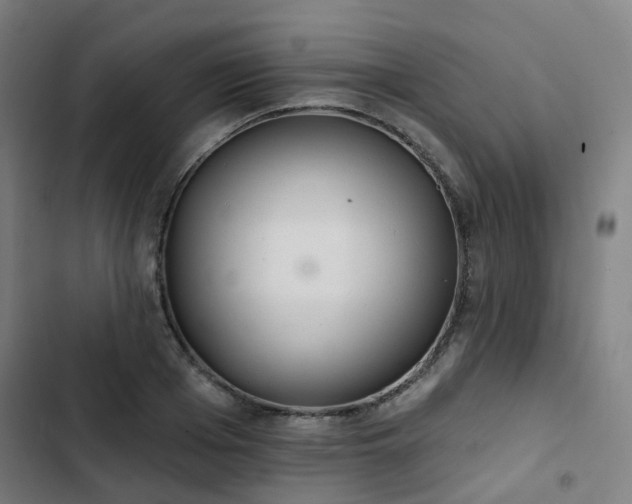 X0000103280985200809051527