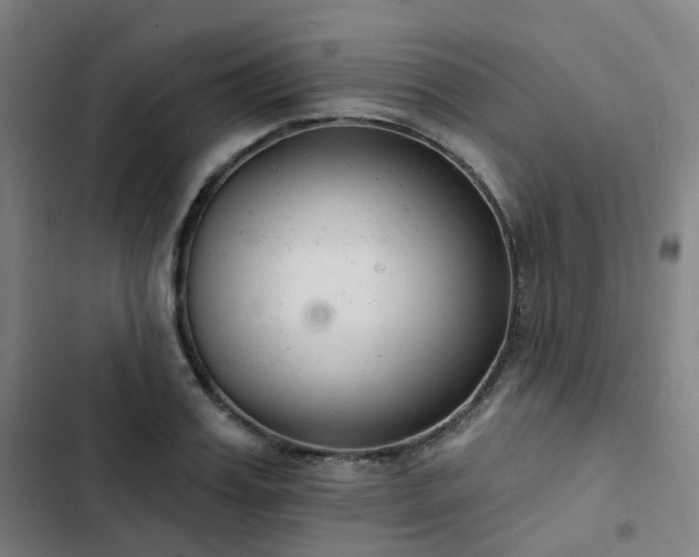 X0000103280987200809051527