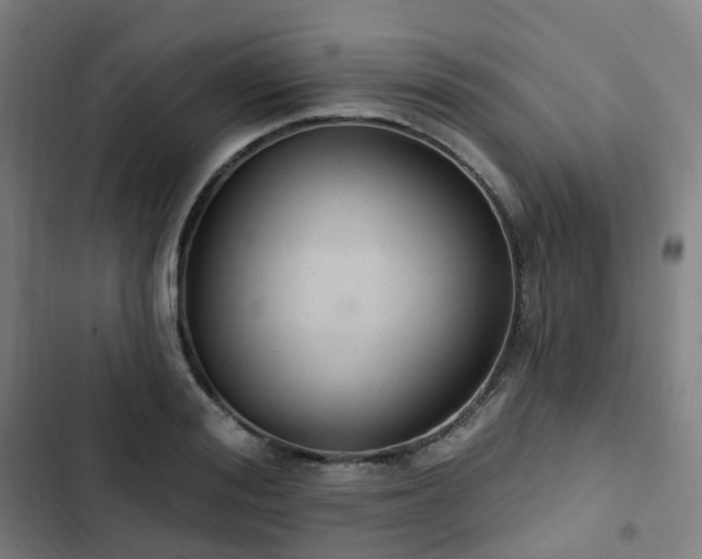 X0000103280988200809051527