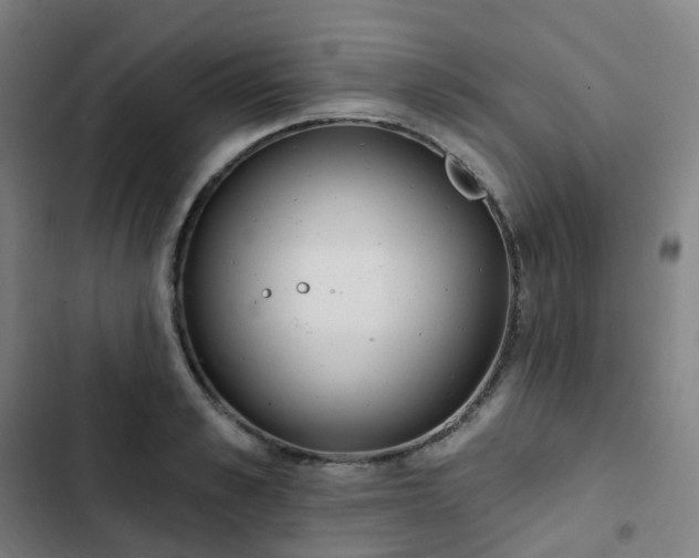 X0000103280989200809051527