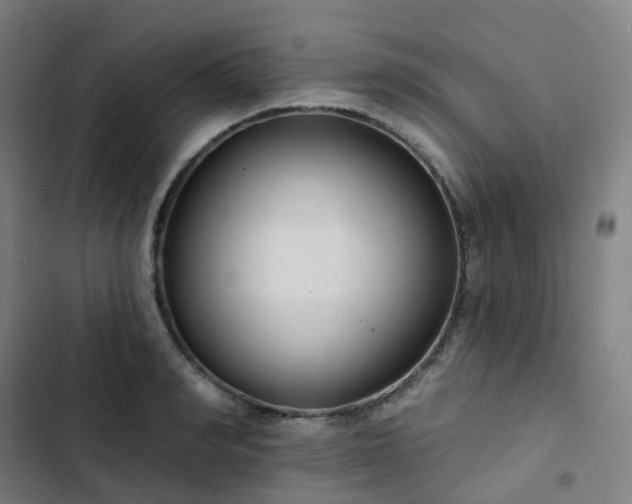 X0000103280990200809051527