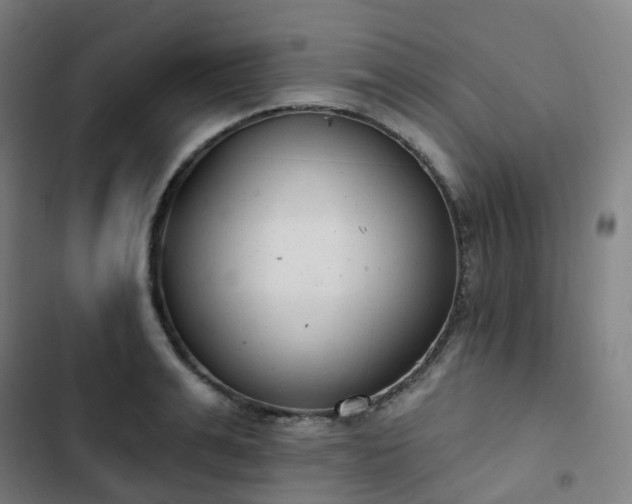 X0000103280991200809051527