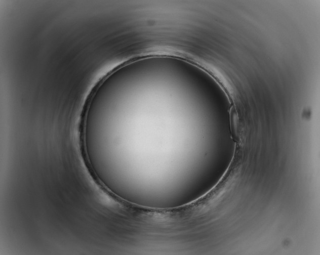 X0000103280995200809051527