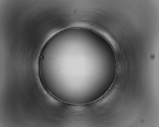 X0000103280999200809051526