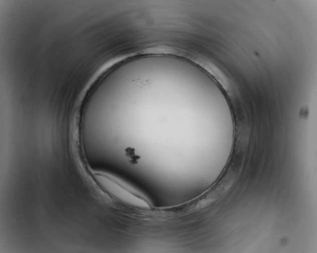 X0000103281000200809051526