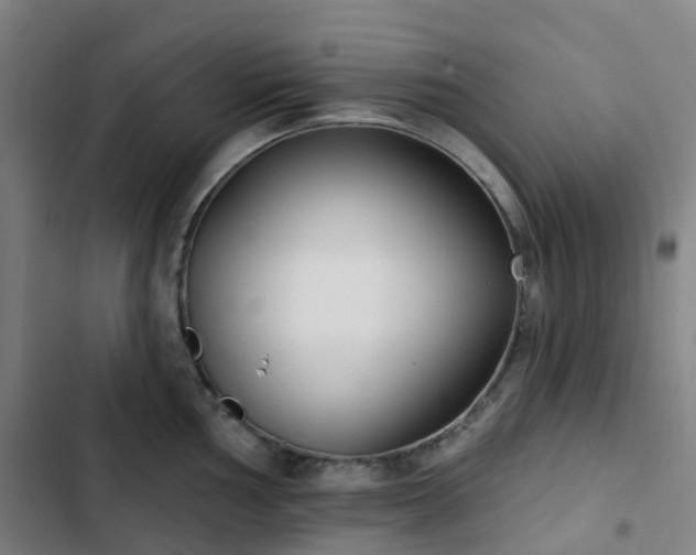 X0000103281002200809051526