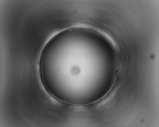 X0000103281007200809051526