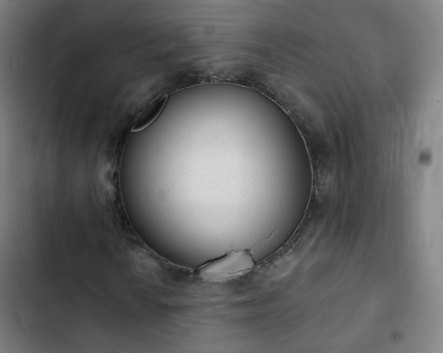 X0000103281010200809051525