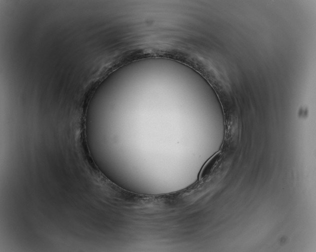 X0000103281012200809051525