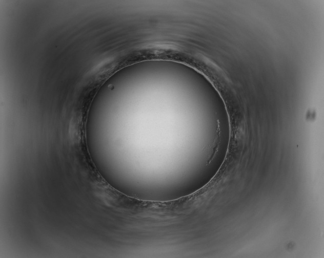 X0000103281014200809051526