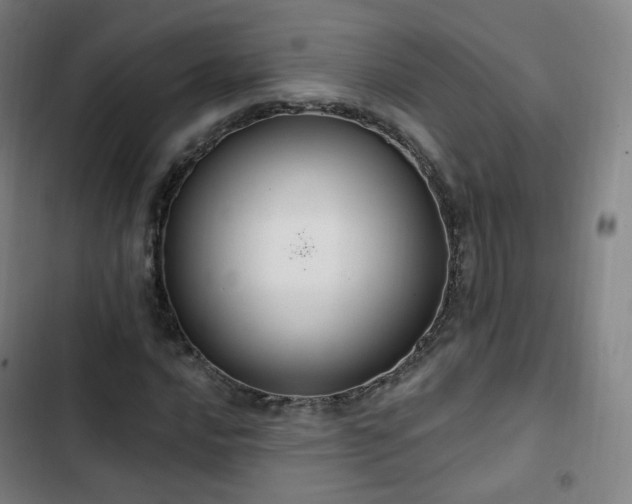 X0000103281016200809051526