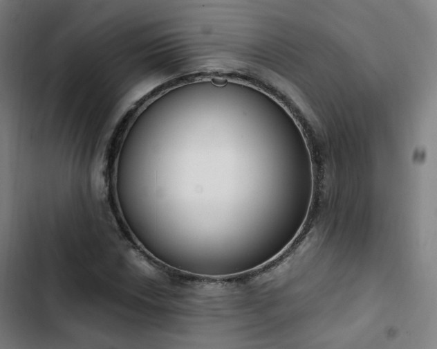 X0000103281018200809051526