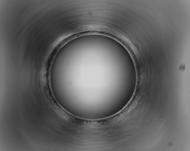 X0000103281019200809051526