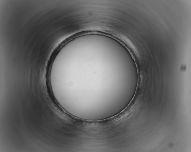 X0000103281020200809051526