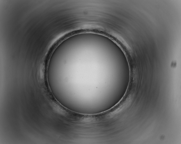 X0000103281021200809051526