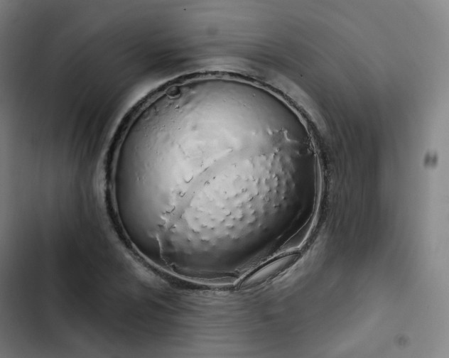 X0000103281024200809051526