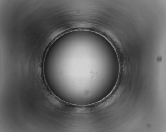 X0000103281025200809051526