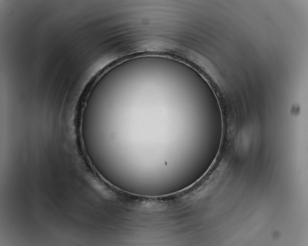 X0000103281026200809051526