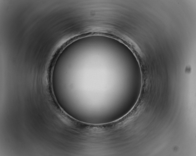 X0000103281027200809051526