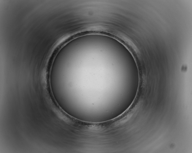 X0000103281029200809051526