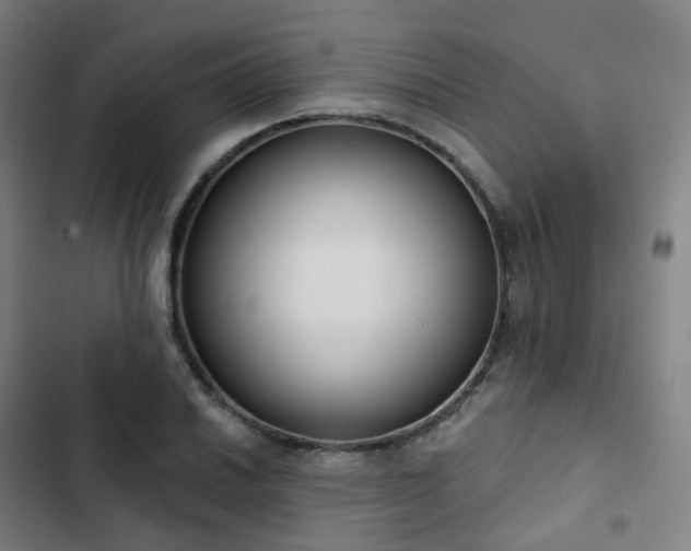 X0000103281030200809051526